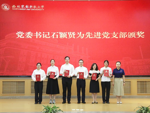 先进党支部.jpg